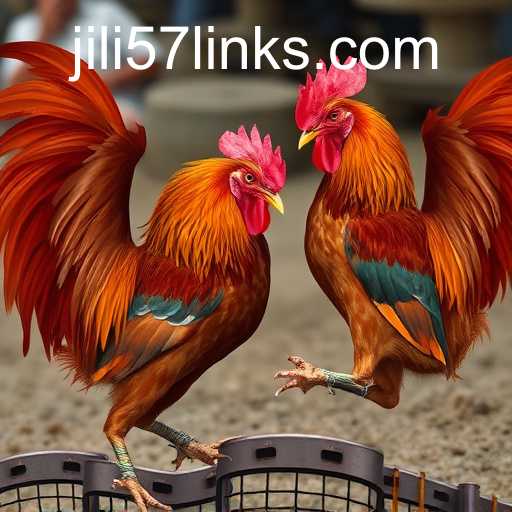 Cockfighting
